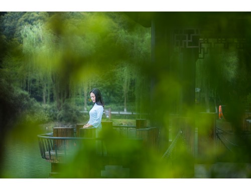 二婶免费观看完整版电视剧的全面分析