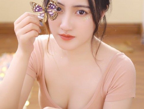 莲花宝鉴在线观看免费版：发展现状与未来展望