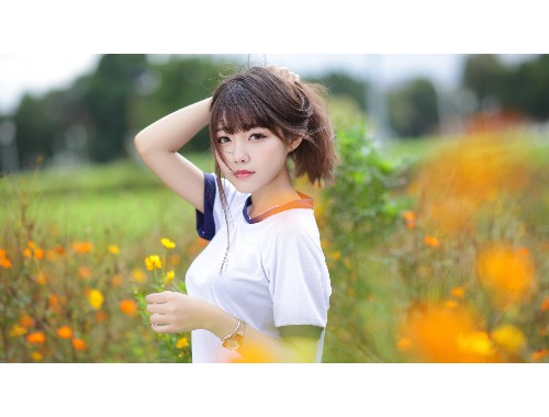 与妻子的秘密免费完整版：全球趋势、策略与风险管控
