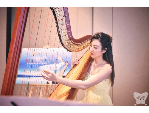 国产精品一区二区在线观看：发展、策略与风险管理