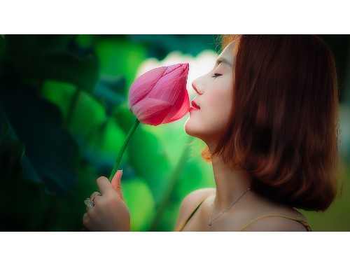 9277免费高清在线观看1080P的全球发展与未来展望
